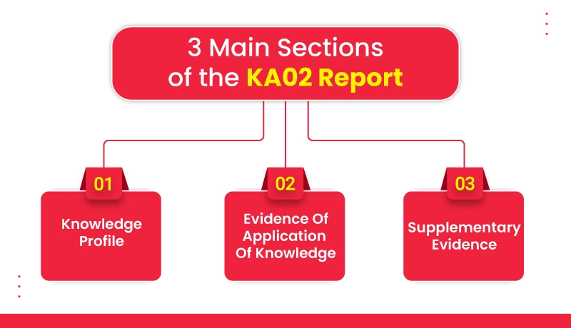 main components of KAO2 report